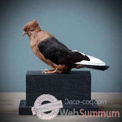 Archangel pigeon Objet de Curiosite -PU358