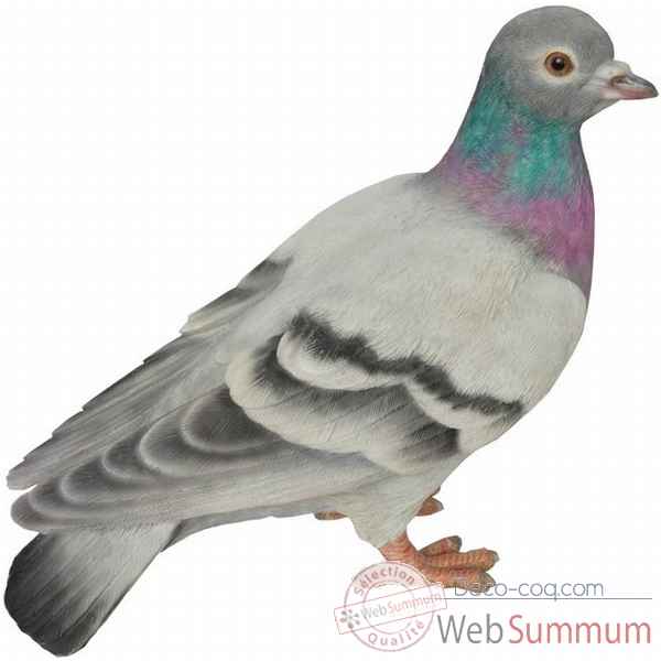 Pigeon colombin 20 cm Riviera system -200385